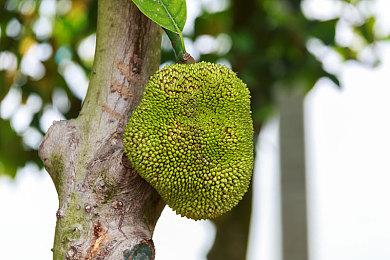 机甲刷宝射击游戏《UNYIELDER-不屈者-》现已推出试玩Demo 2025年发售